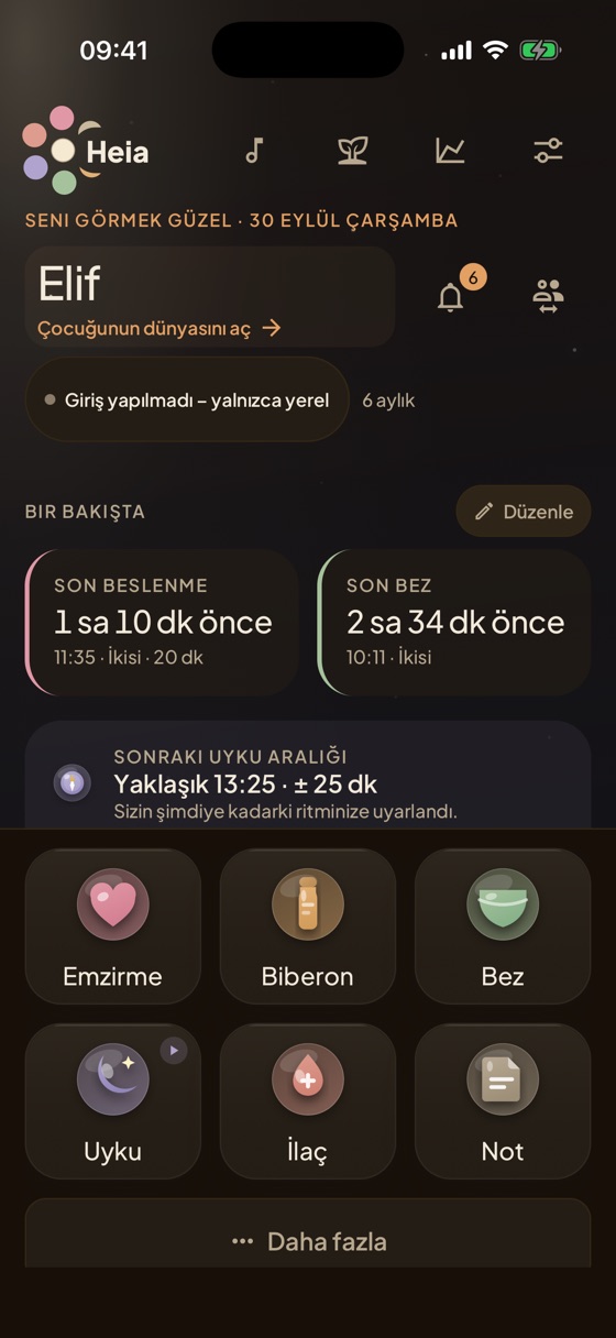 Heia ana ekranı: son beslenme, son uyku ve en önemli kayıt türleri bir bakışta